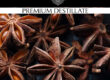 destillat-anis