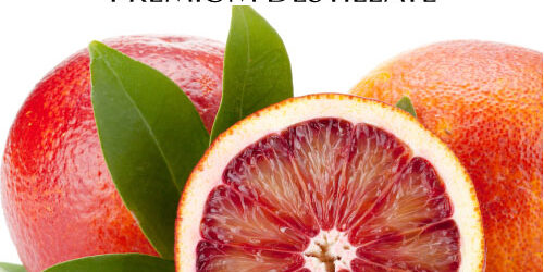 destillat-blutorange destillat-blutorange