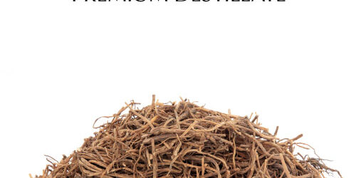 destillat-enzianwurzel