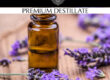 destillat-lavendel
