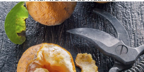 destillat-pomeranzenschale