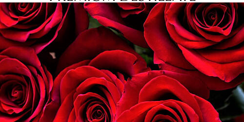 destillat-rosenblueten