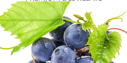 destillat-trauben destillat-trauben