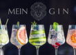 Was versteht man unter Gin